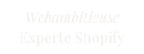 logo webambitieuse blanc